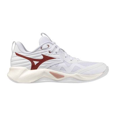 TENIS MIZUNO WAVE MOMENTUM PRO